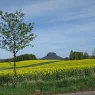 Blick zum Lilienstein